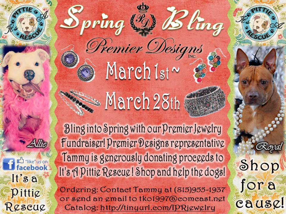 premier-jewelry_fundraiser