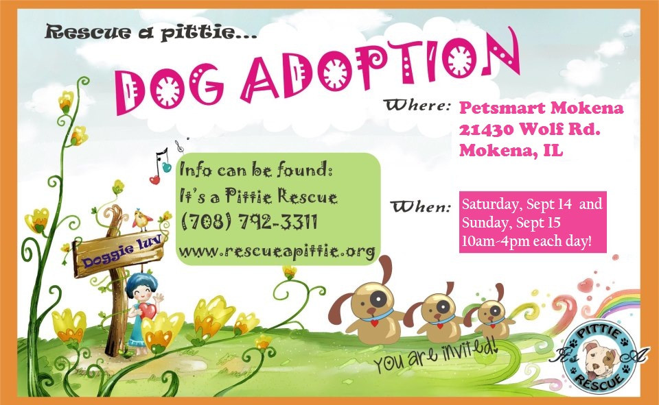 Petsmart Mokena Tent Event It S A Pittie Rescue