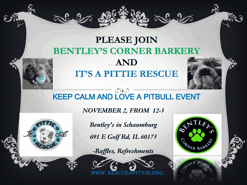 Keep Calm And Love Pitbull Event