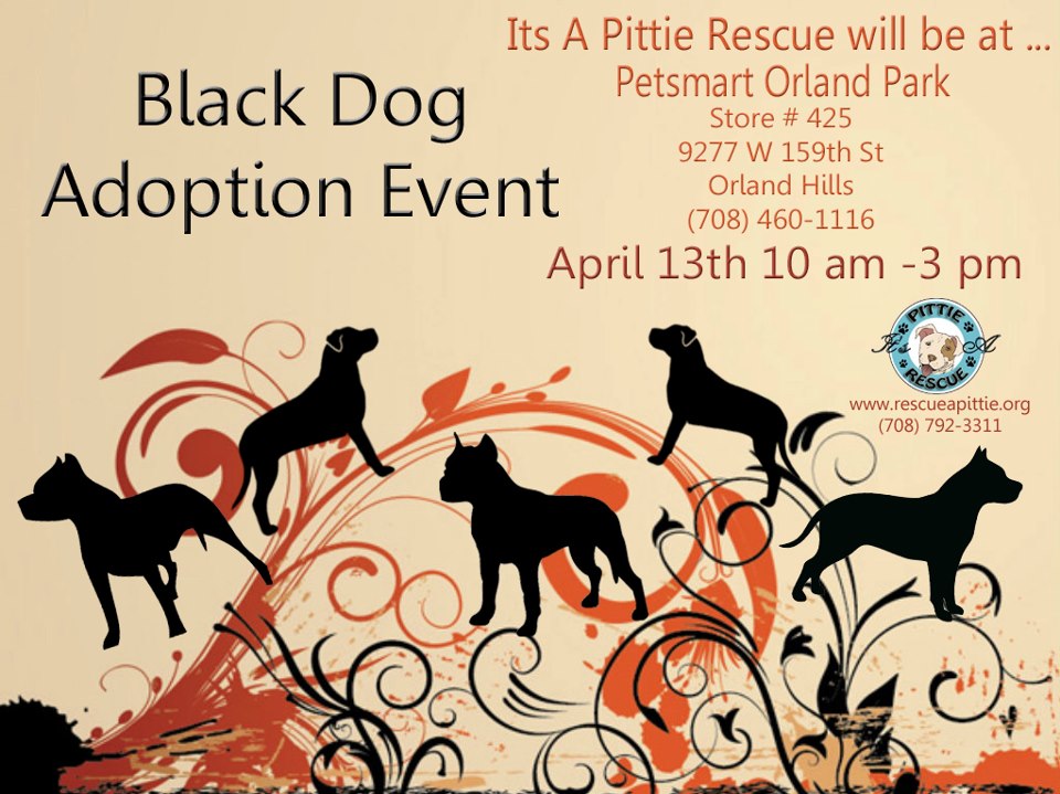 Black Dog Adoption Event