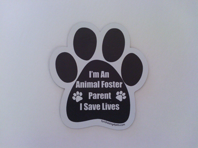 I'm a Foster Parent Magnet
